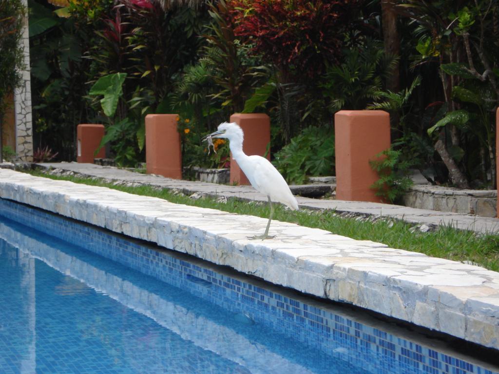 Hotel Jaguar Inn Tikal Exterior photo